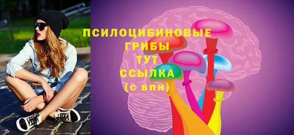 бутират Переславль-Залесский