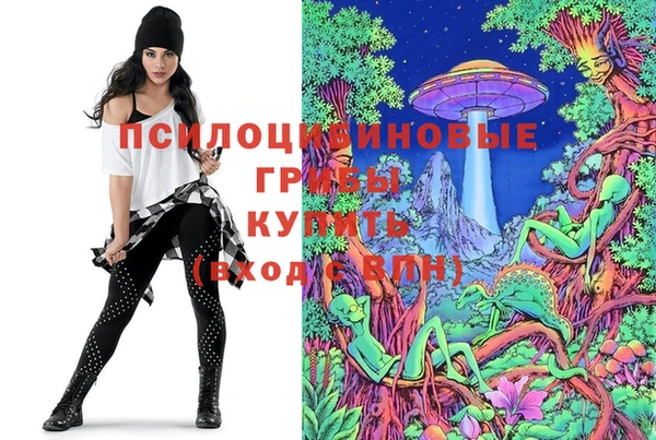 мяу мяу мука Пересвет