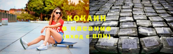 индика Алексеевка