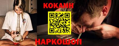 крисы Гай