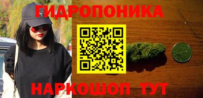 крисы Гай