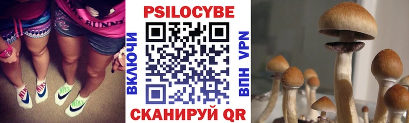 где продают наркотики  гидра онион  Галлюциногенные грибы прущие грибы  Миасс 