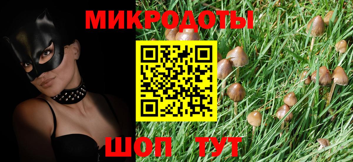 Псилоцибиновые грибы Psilocybe  Вход с VPN  Галлюциногенные грибы прущие грибы  Миасс 